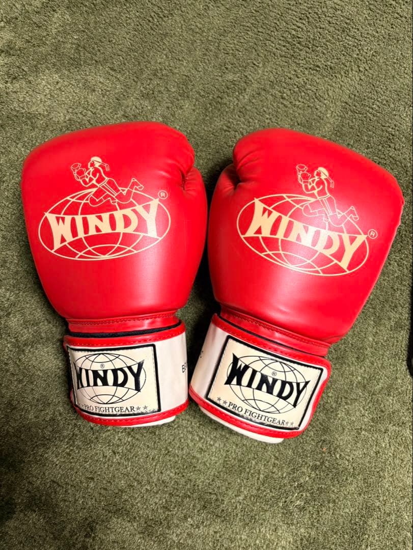 WINDY ボクシンググローブ シンガードセット