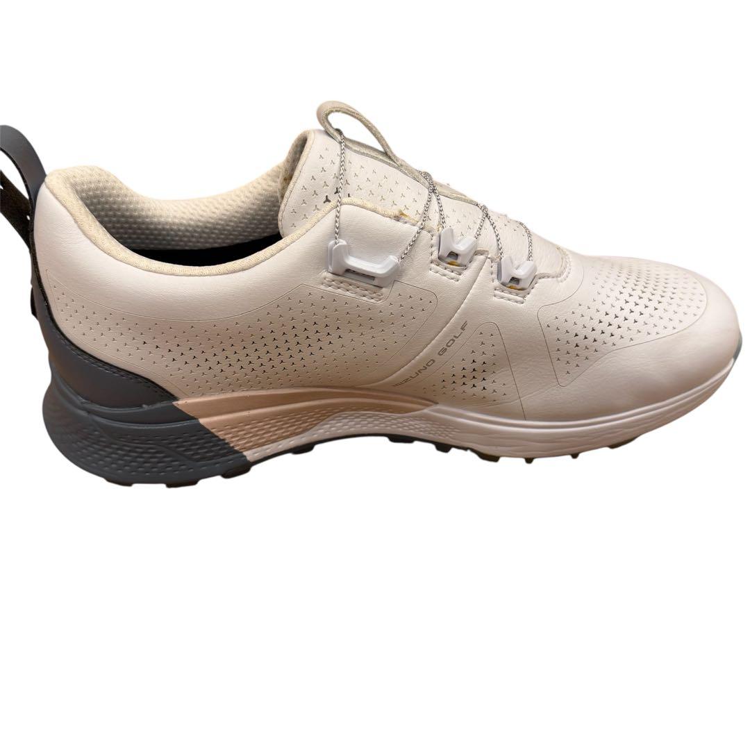 美品 ミズノ ゴルフシューズ ジェネム WG GTX ボアメンズ 26.0