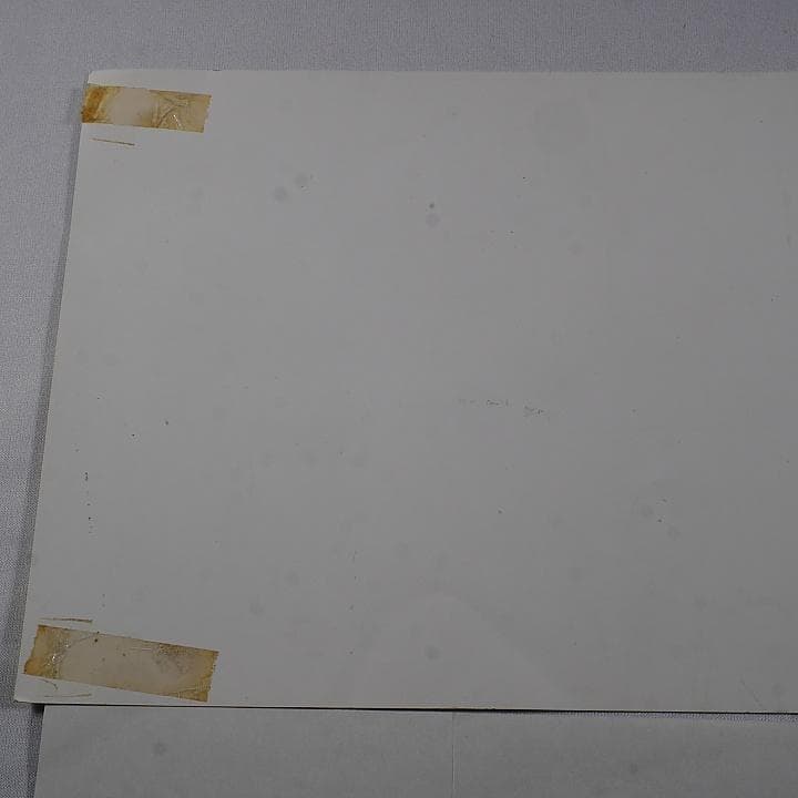 純正インスト+取扱説明書+帯1本　エスプガルーダ2　CAVE