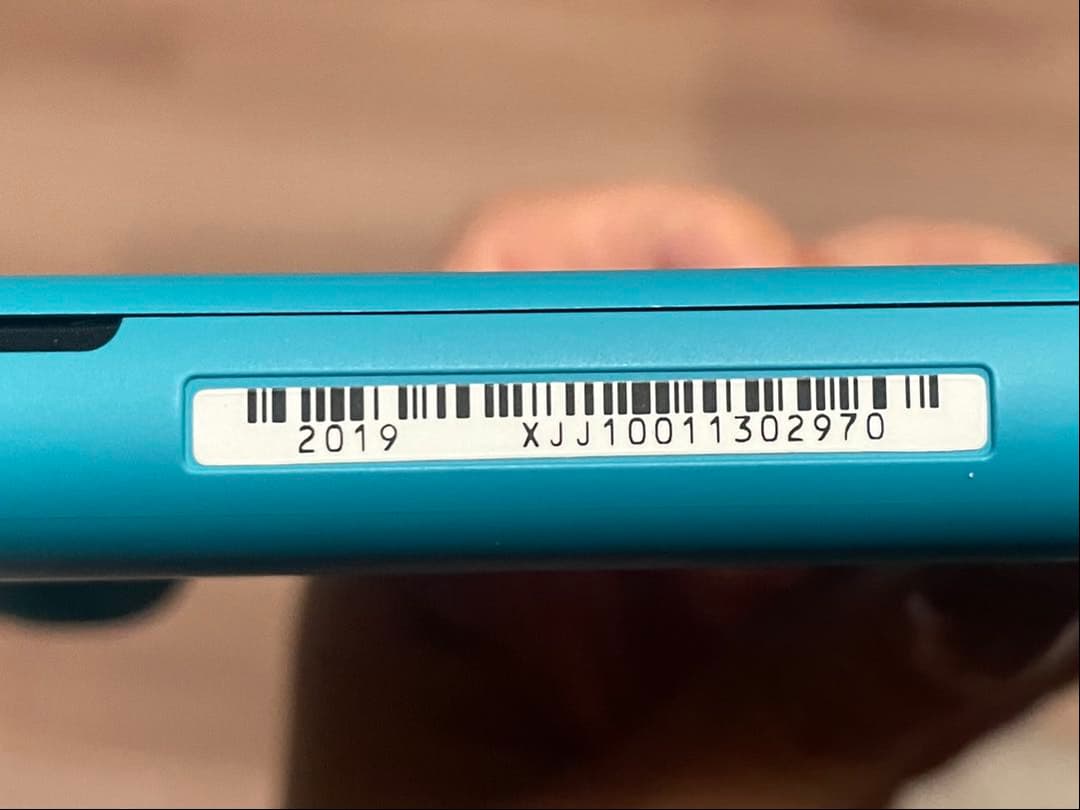 ひ*ろ様 Nintendo Switch Lite ターコイズ ケース付き