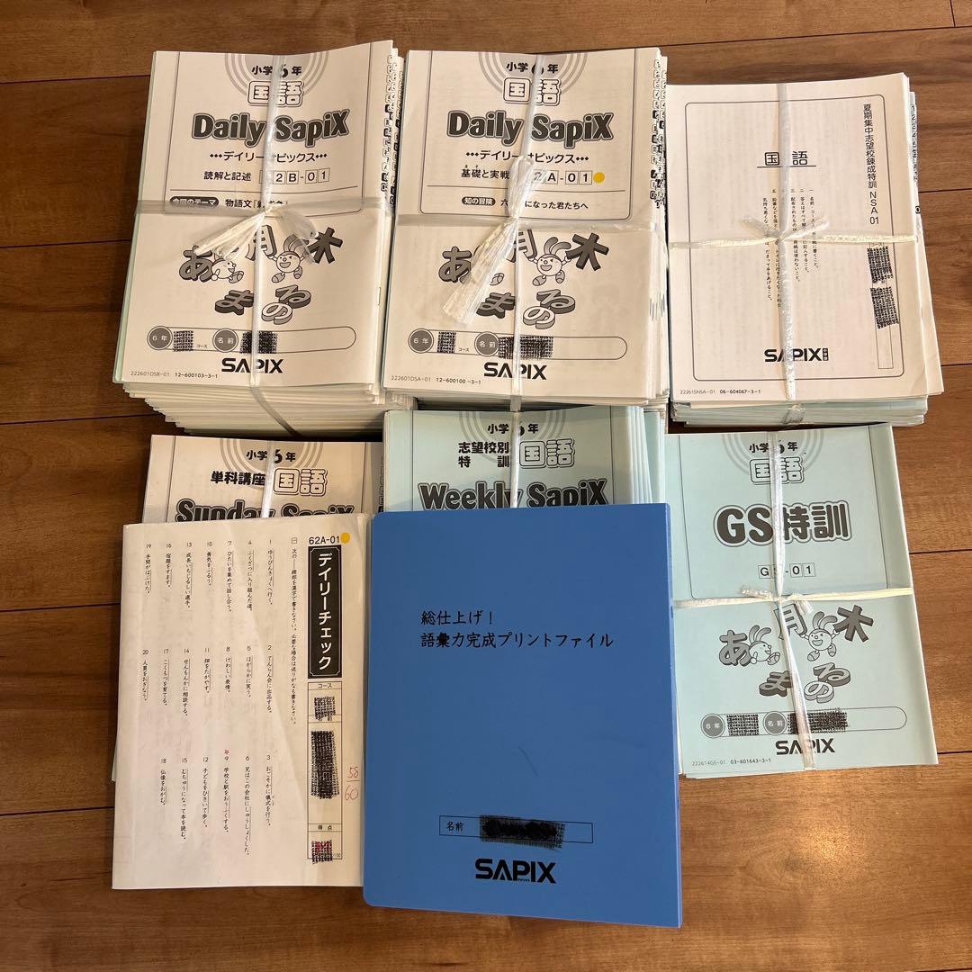胡珺 ③サピックス6年教材4教科フルセット+大量プリント等
