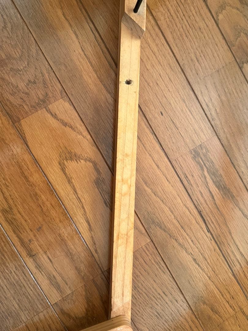 メディカル60 KAWAI フェレットゲージ　天井ルーフ、床マット付き