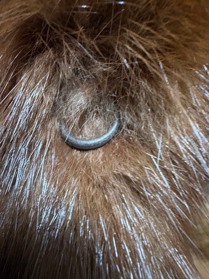 毛皮ロングコート ブラウン