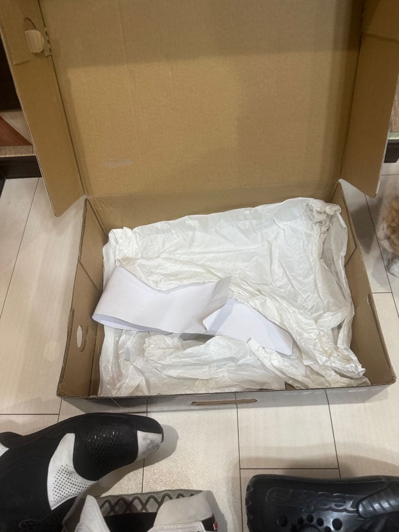 Alpinestars スーパーテックR クシタニコラボ28.5cm