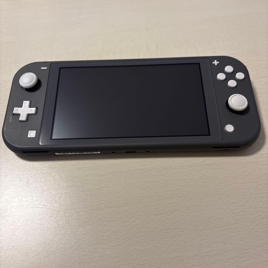 Nintendo Switch Lite グレー 収納ケース付き