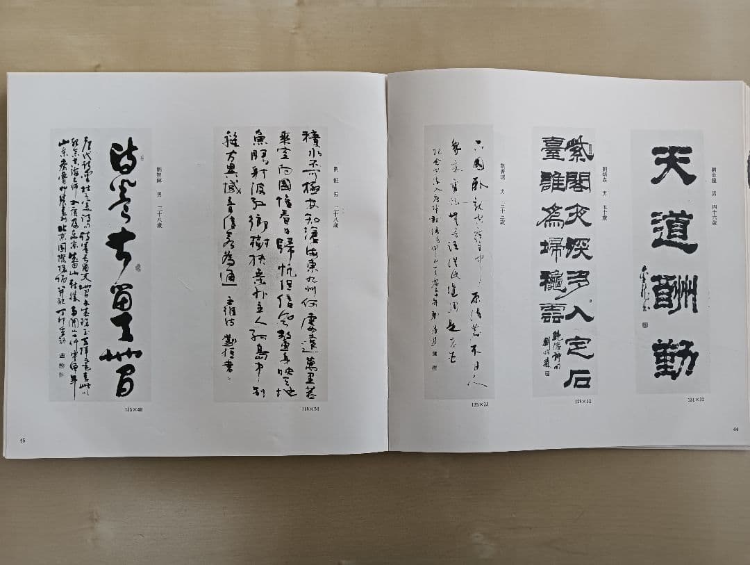 中国当代墨宝集