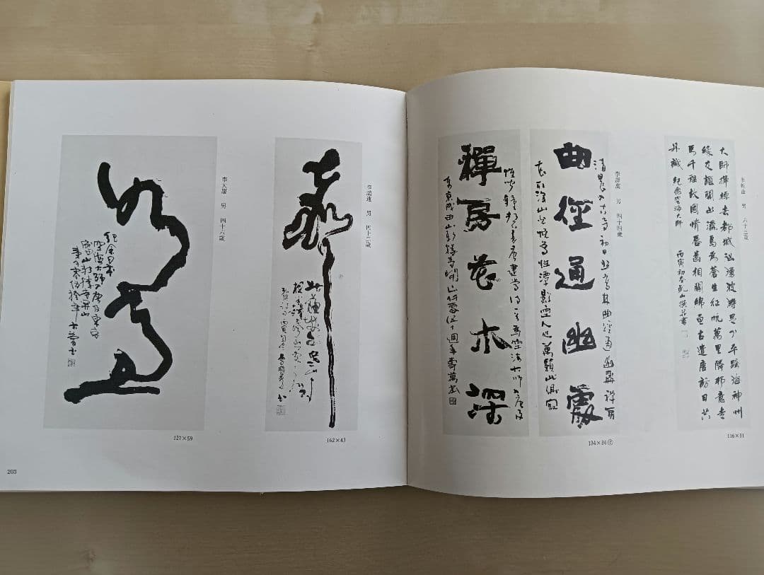 中国当代墨宝集