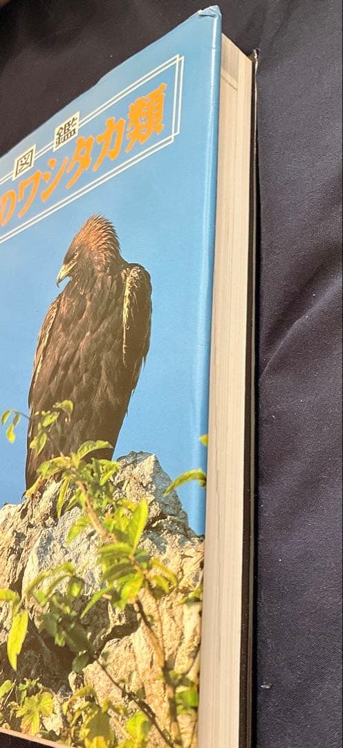 ★図鑑　日本のワシタカ類