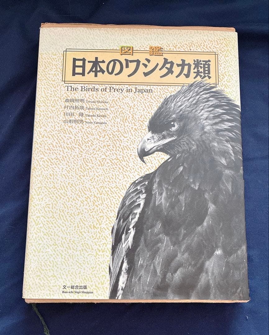 ★図鑑　日本のワシタカ類