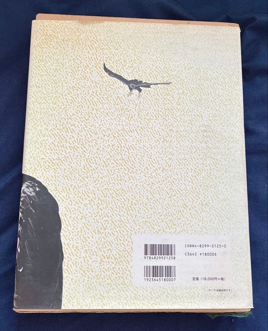 ★図鑑　日本のワシタカ類