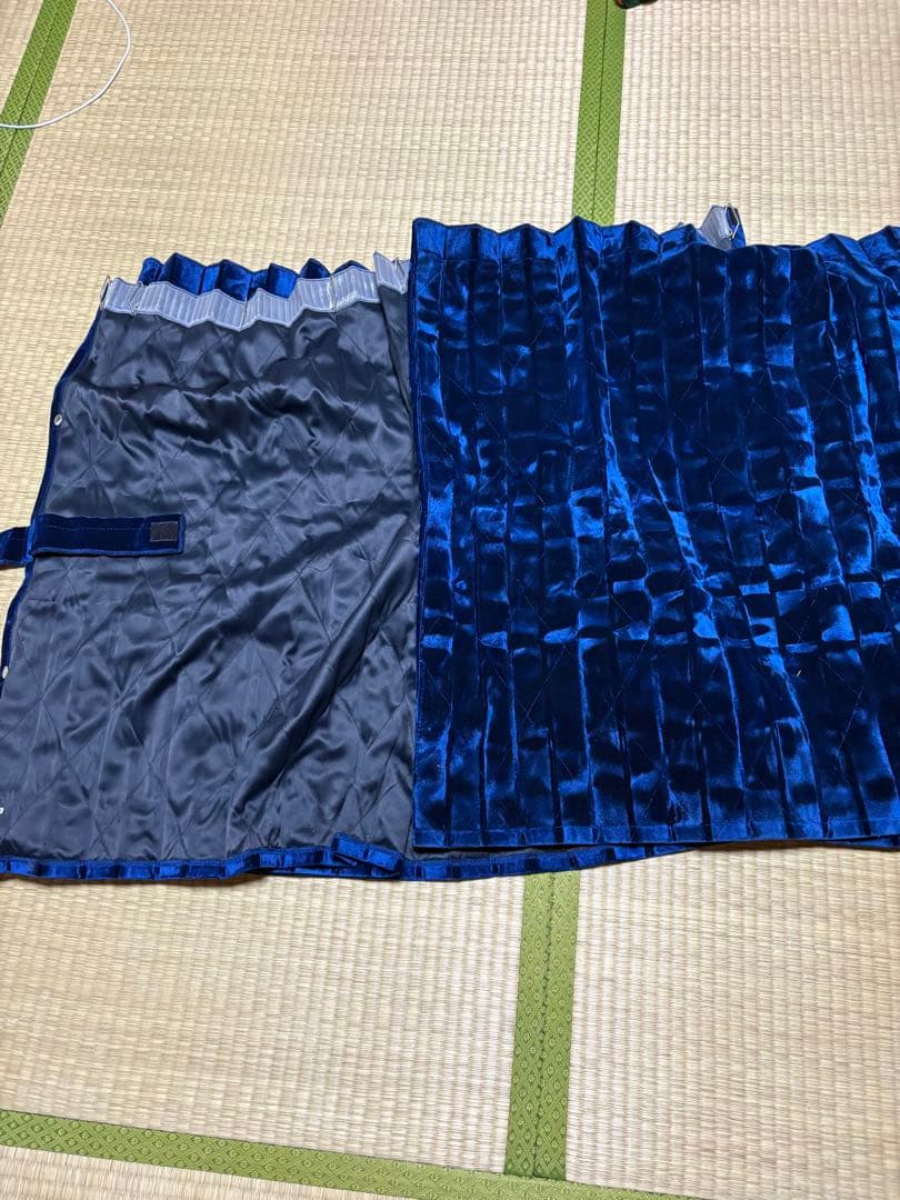金華山　コスモス　ブルー　いすゞギガ