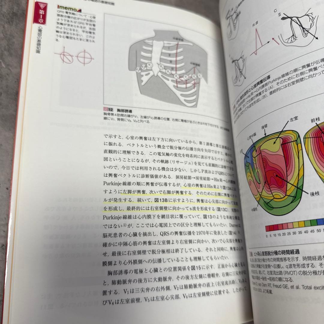 成り立ちから理解する心電図波形