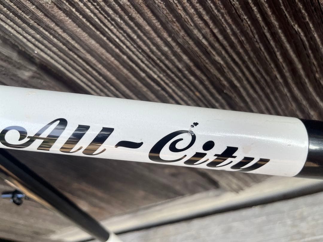 ALL-CITY オールシティ　ネイチャーボーイ　フレームセット　カンチブレーキ