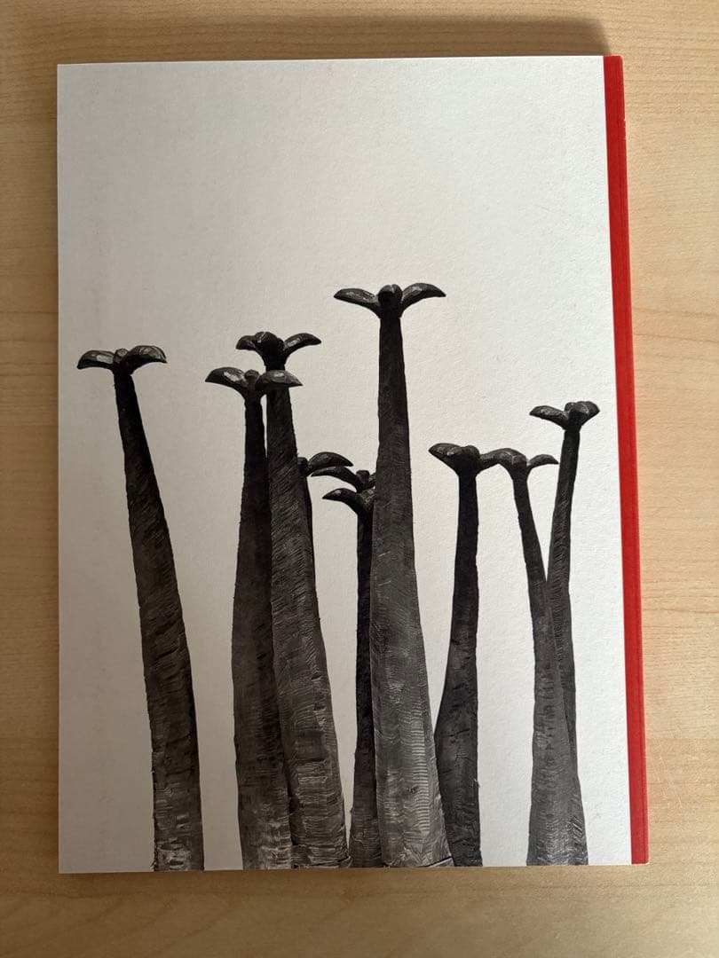 絵と彫刻 加藤泉作品集