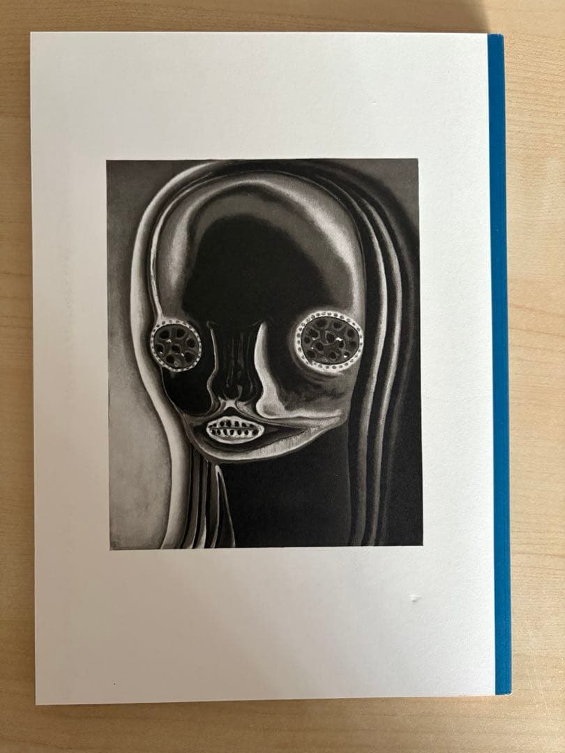 絵と彫刻 加藤泉作品集