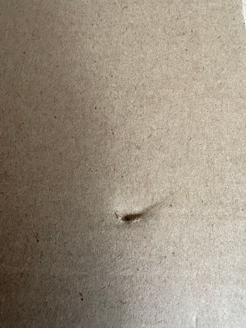 絵と彫刻 加藤泉作品集