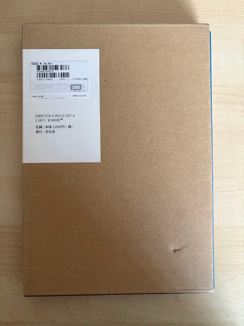 絵と彫刻 加藤泉作品集