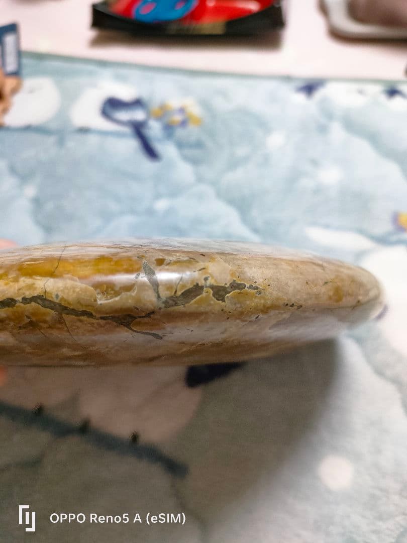 がくページ☆アンモナイト☆約1キロある！？