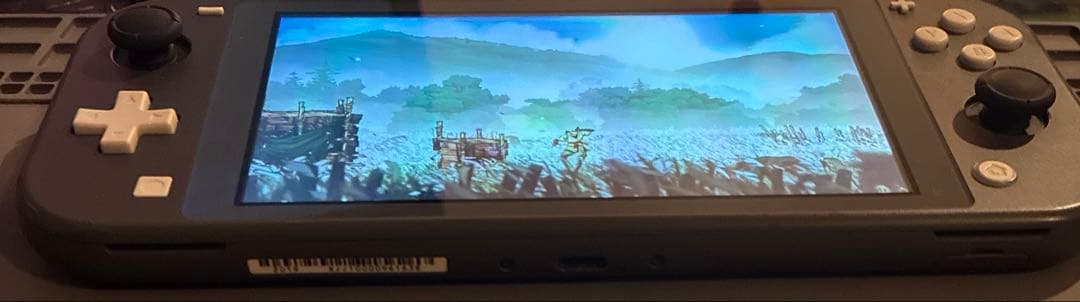 switch lite 本体のみ　アナログスティック交換済み