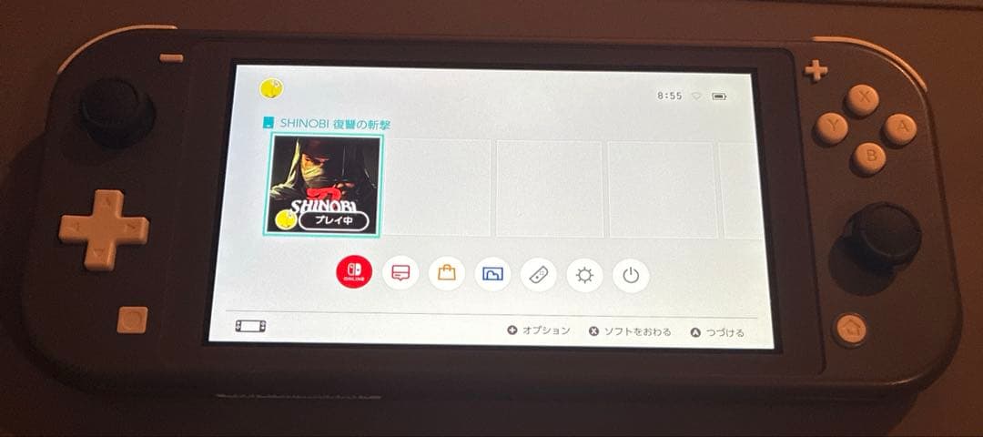 switch lite 本体のみ　アナログスティック交換済み