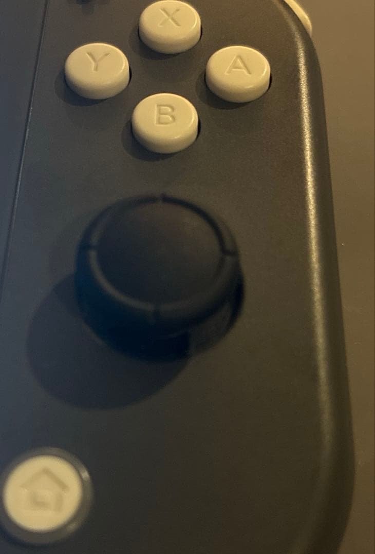 switch lite 本体のみ　アナログスティック交換済み