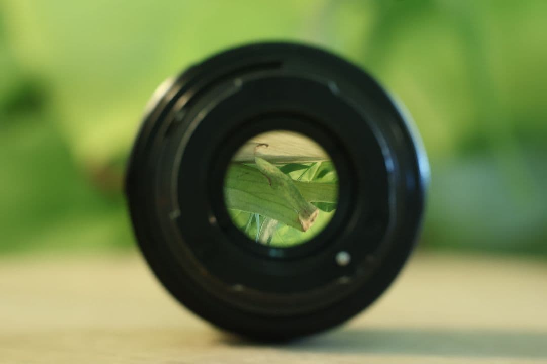 Voigtländer COLOR-ULTRON 50mm f1.8