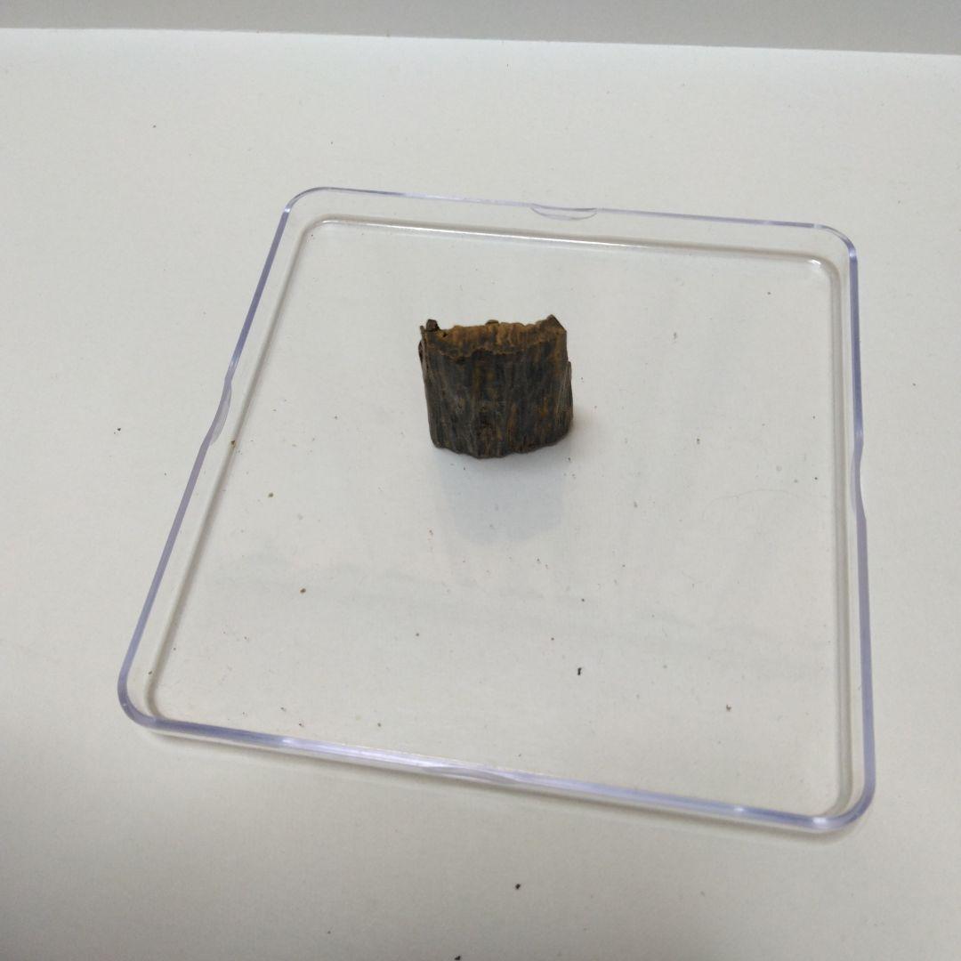 最高級シャム沈香3.35g