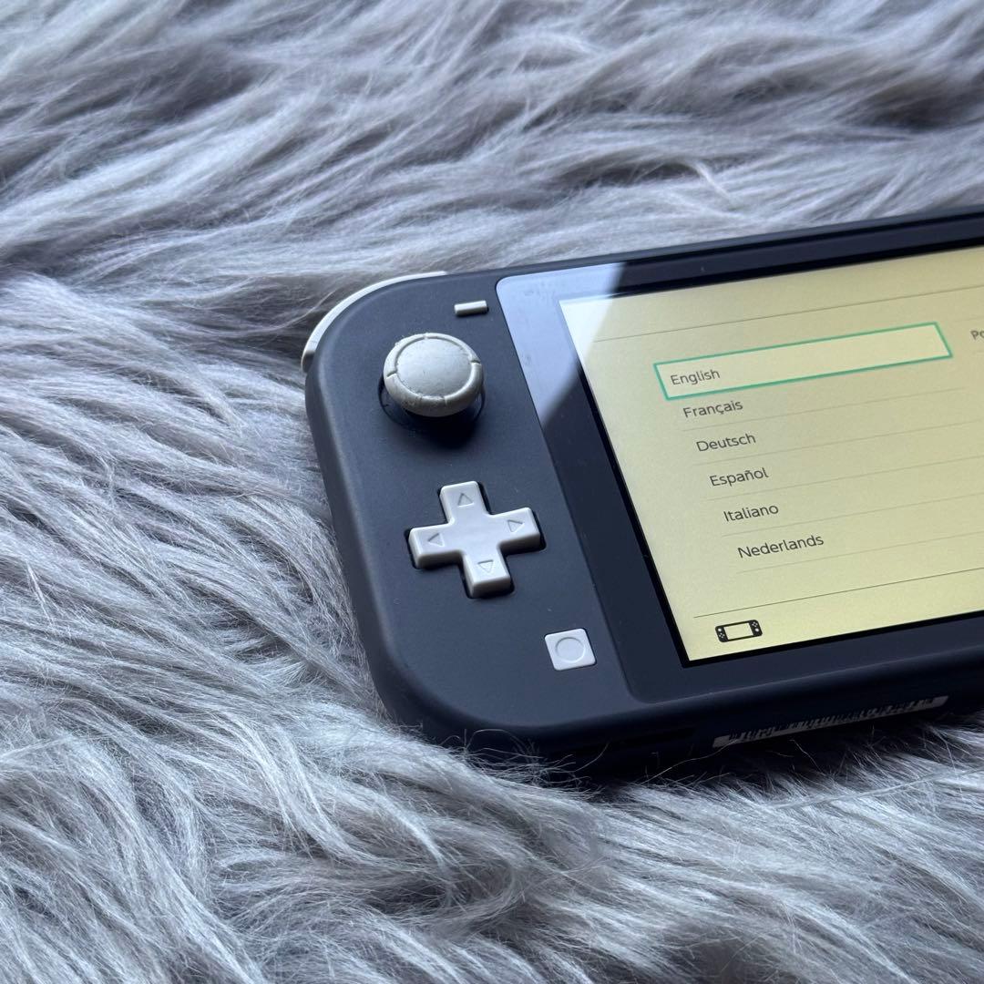 Nintendo Switch Lite 本体 グレー（※訳あり）