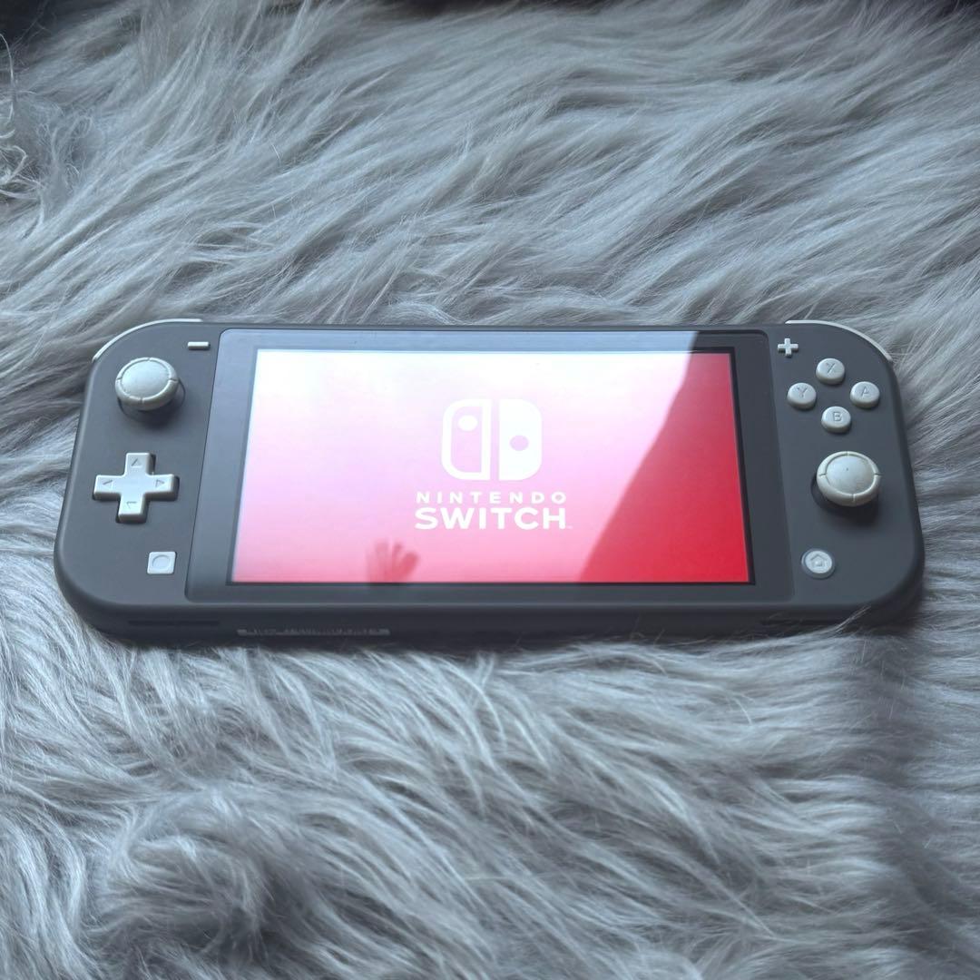 Nintendo Switch Lite 本体 グレー（※訳あり）