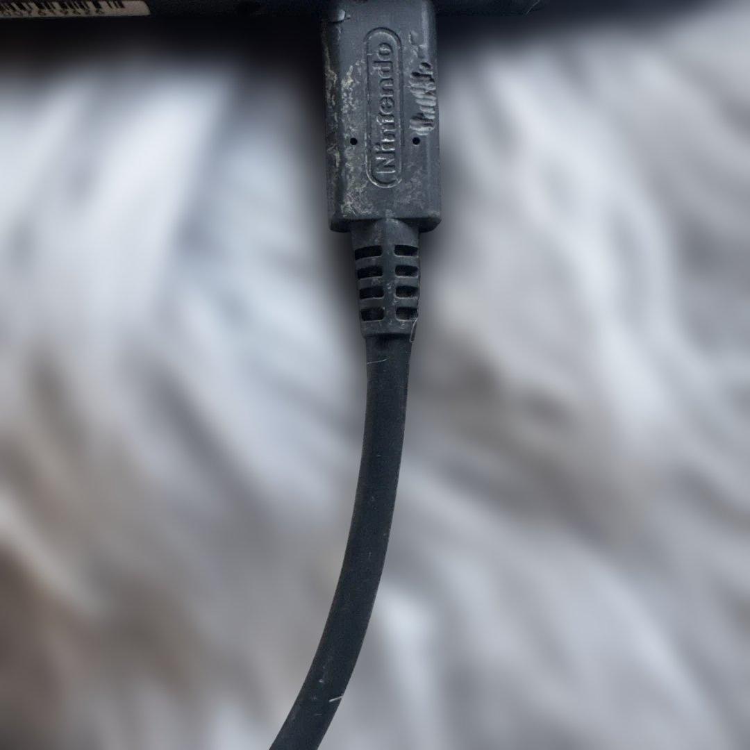 Nintendo Switch Lite 本体 グレー（※訳あり）