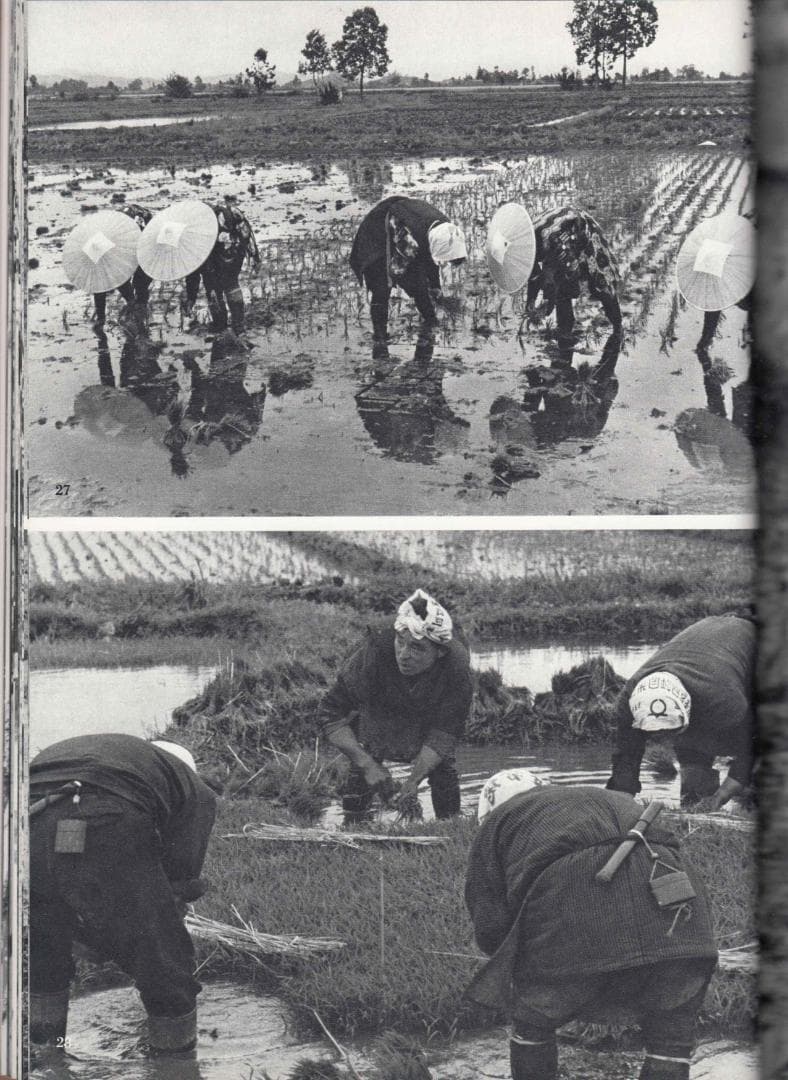 木村 伊兵衛 撮影 写真集 秋田 ニコンサロンブックス