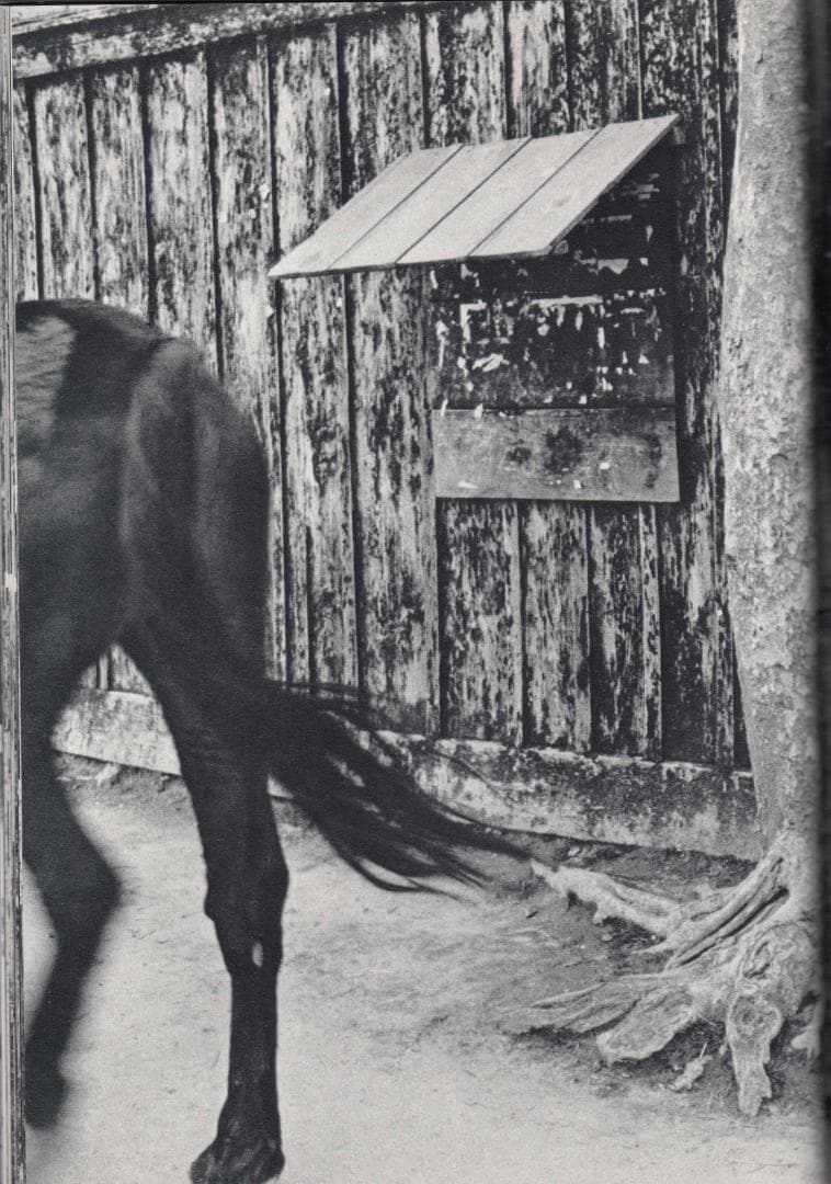 木村 伊兵衛 撮影 写真集 秋田 ニコンサロンブックス