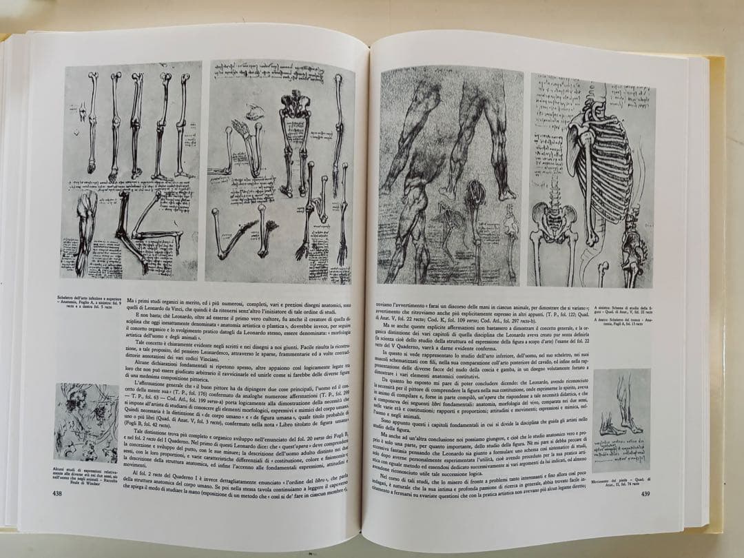 レオナルド・ダ・ピンチ　大型本2巻セット イタリア語原書