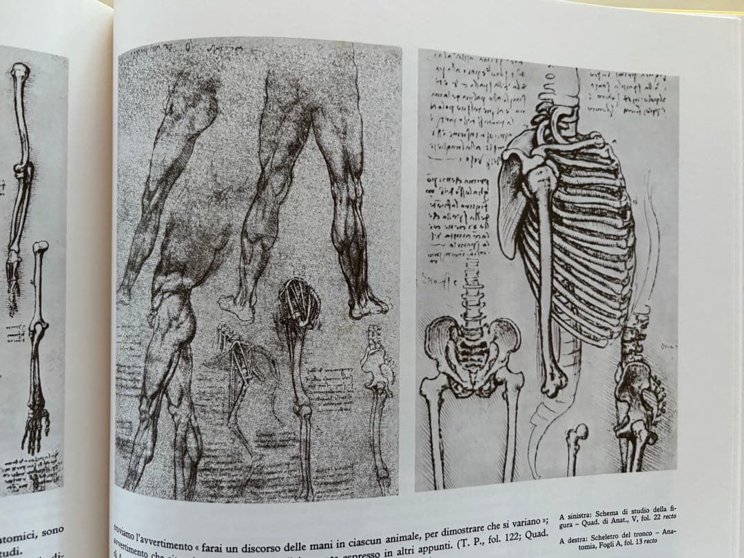 レオナルド・ダ・ピンチ　大型本2巻セット イタリア語原書