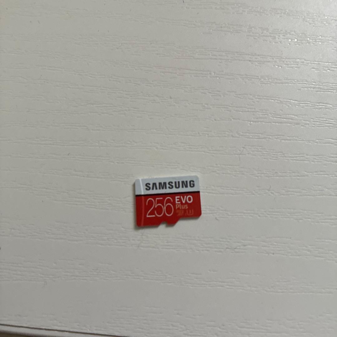 Switch ピカブイエディション（ケース・256GBmicroSD付き）