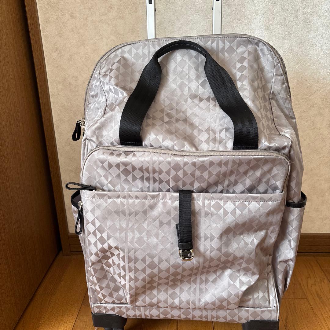 エース　カナナプロジェクト ソフトキャリーケース