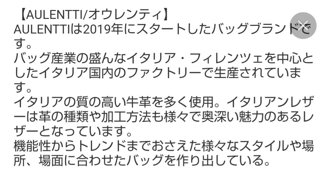 iggyちゃんさま専用ジャーナルスタンダードショルダーバッグ