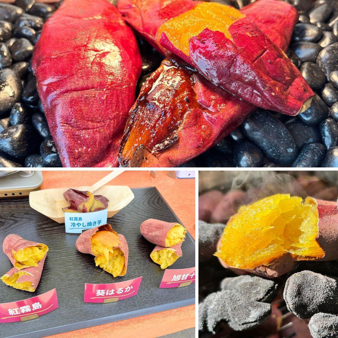 壺不要！業務用炭焼き芋機｜簡単に蜜焼き芋が焼ける焼き方マニュアル付き（軽量設計）