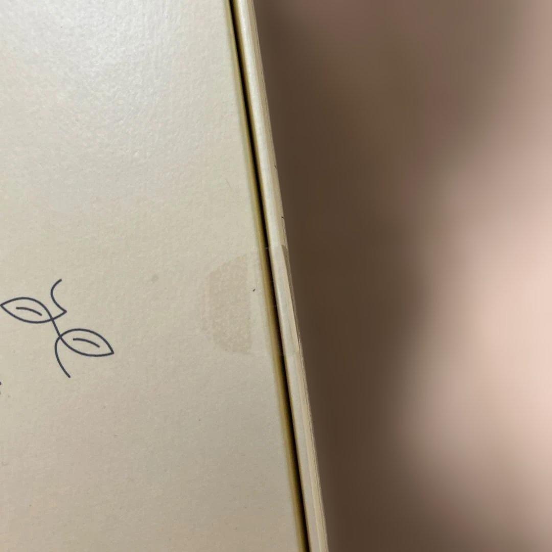 【売り切り】YOGINI FOOD 100 fruit mix 21袋