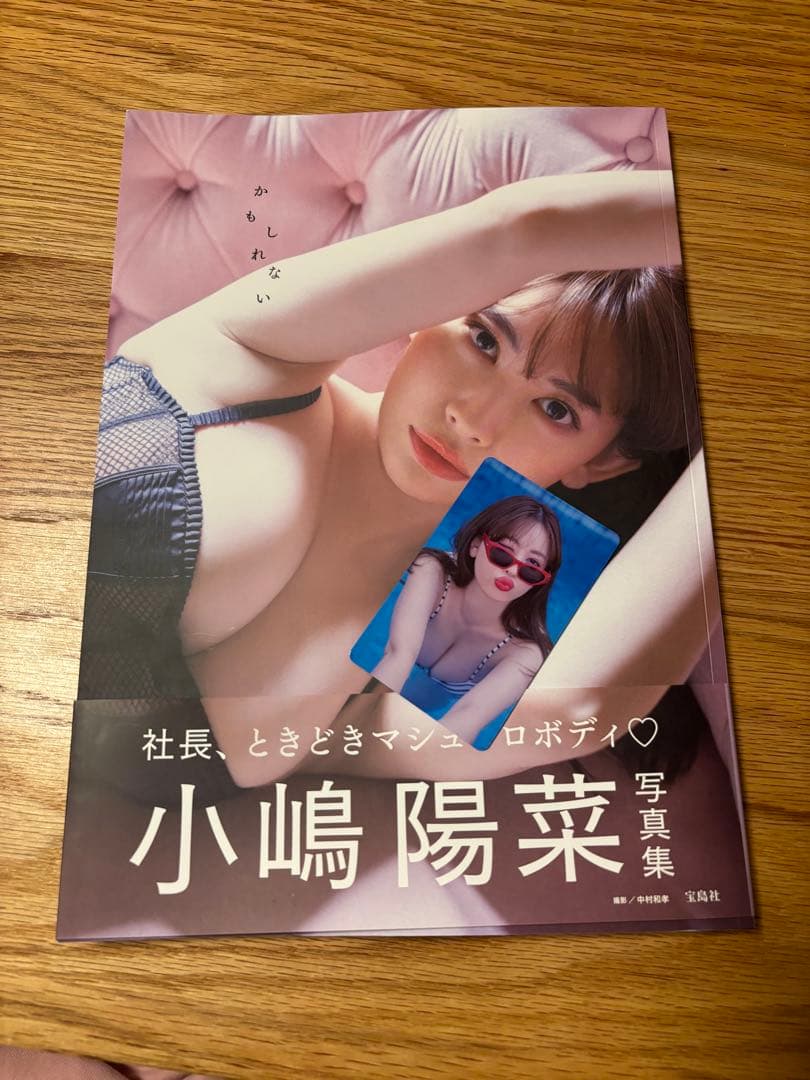 小嶋陽菜　かもしれない写真集　サイン入りトレカ付き