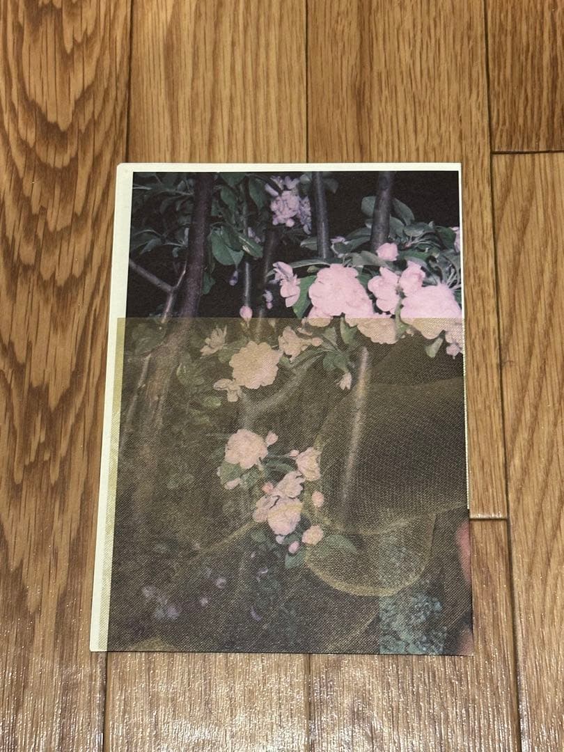 アート・デザイン・音楽 Lin zhipeng Flower and Fruits