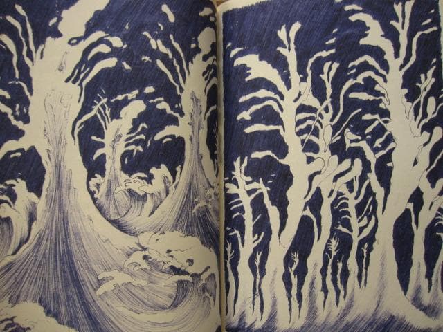 Die Wandlungen　David Weiss　ダヴィッド・ヴァイス