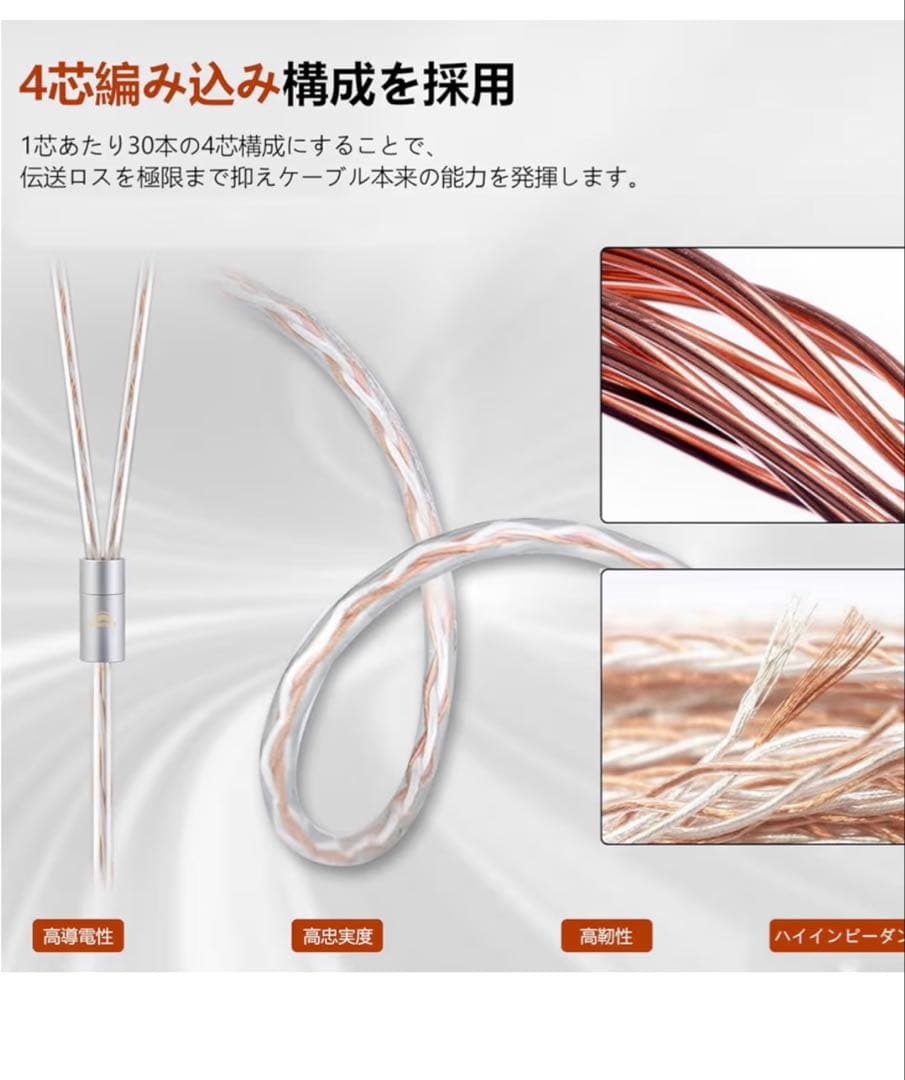 FiiO JM21 /ゼンハイザーIE500pro（リケーブル）