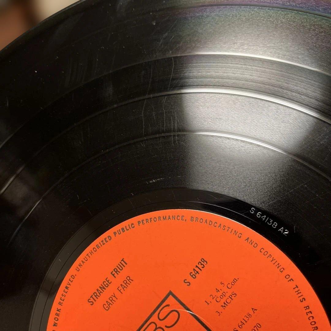 レア【USオリ】Gary Farr Strange Fruit レコード LP