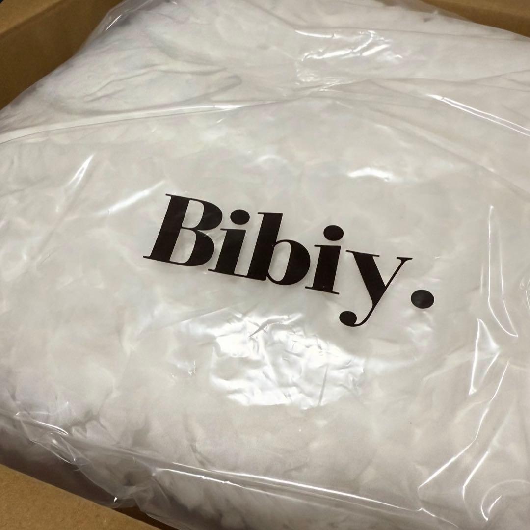 【れ】NOELLE SHEER DRESS Bibiy