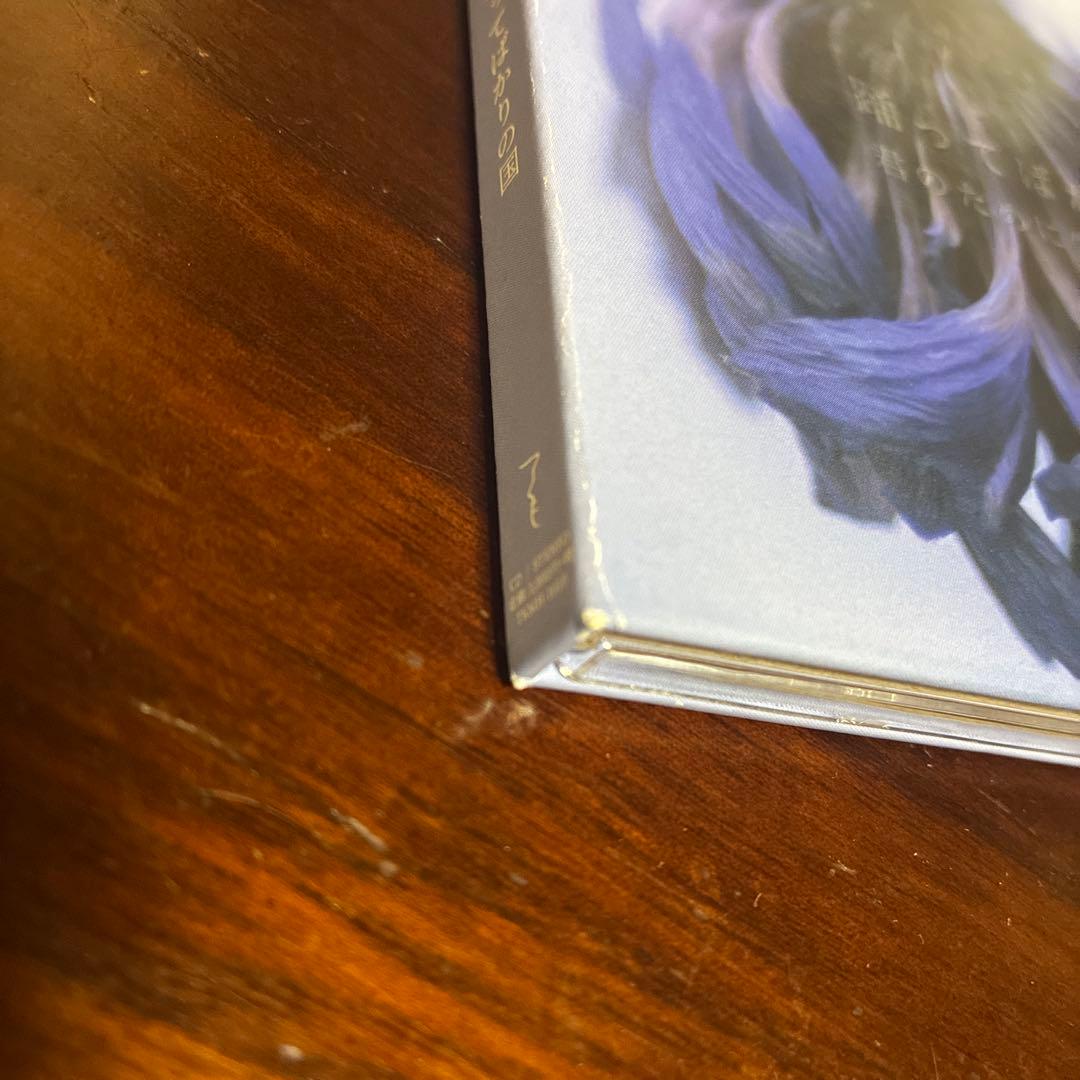 踊ってばかりの国 君のために生きていくね