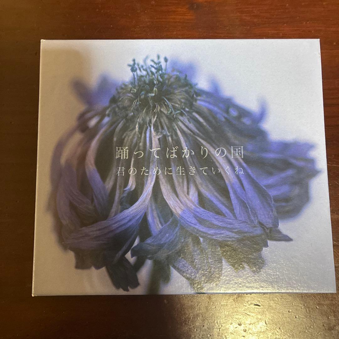 踊ってばかりの国 君のために生きていくね