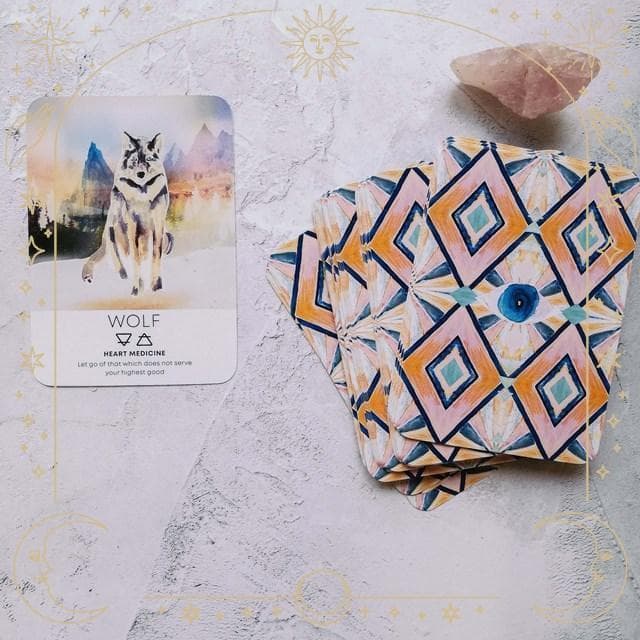 【正規品オラクルカード】希少レア✨柔らかい色彩✨動物たちのエネルギーのオラクル