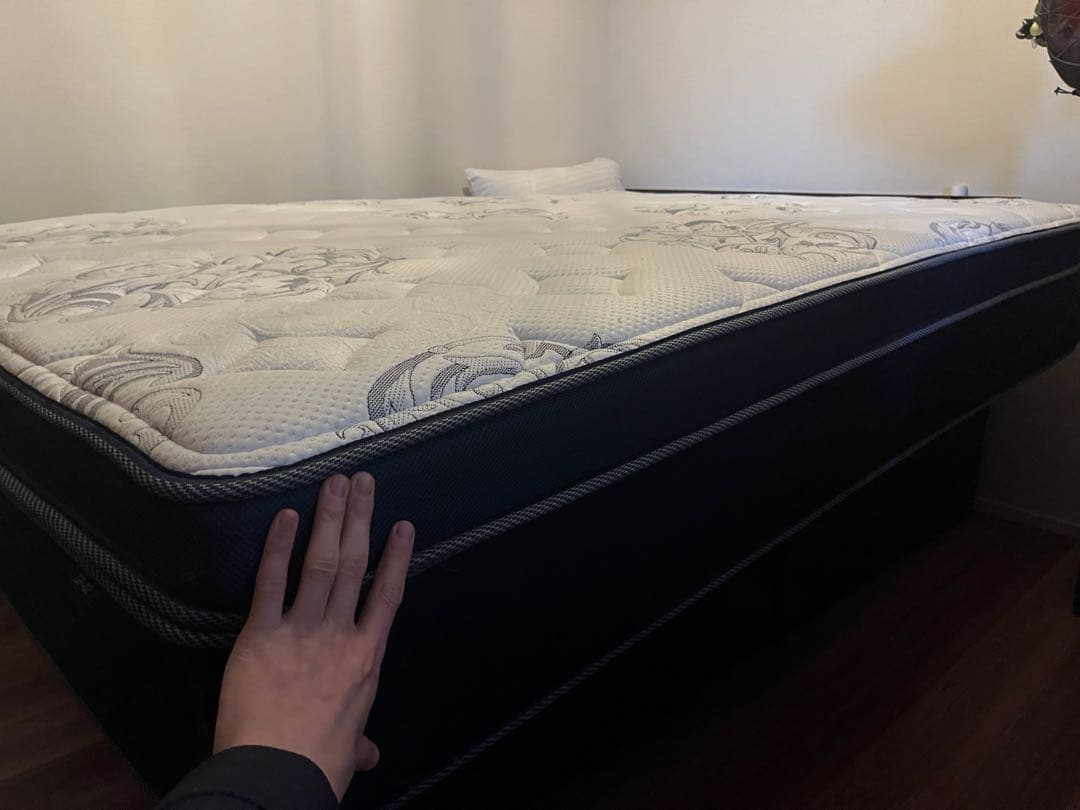 美品　ニトリ　DUAL POCKET ダブルマットレス