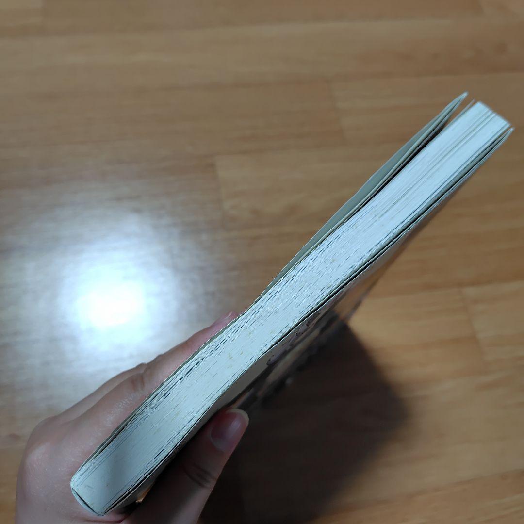 初版⭐レイトン教授VS逆転裁判設定画集　カプコン